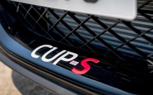Renault Megane RS 275 Cup S detalle CUP-S