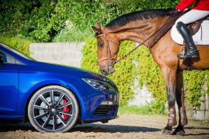 SEAT Leon ST Cupra caballo